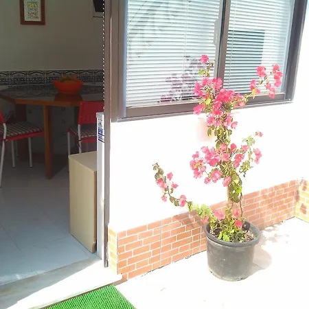 Casas De Ferias * サグレス